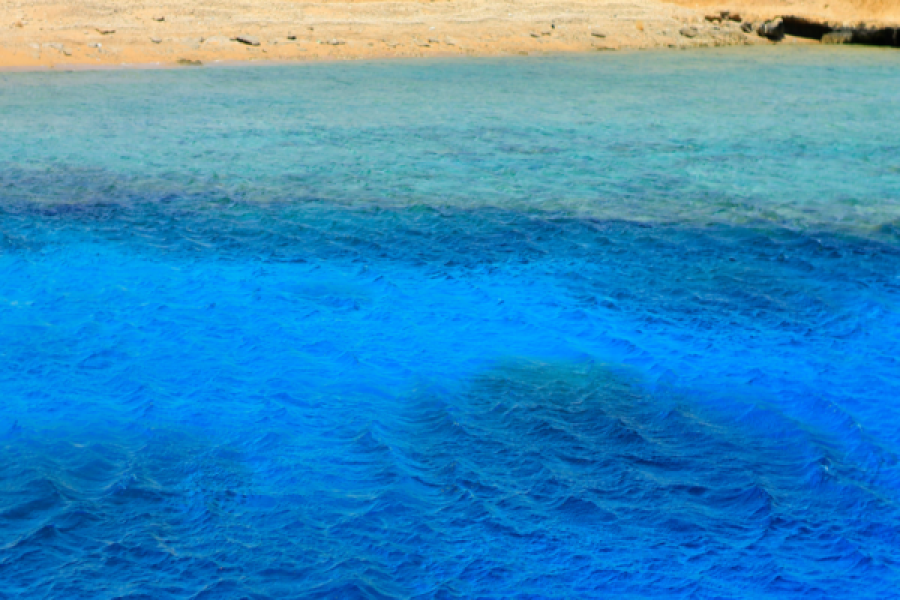 Ras Mohamed Or Tiran Island Snorkeling Trip by Boat