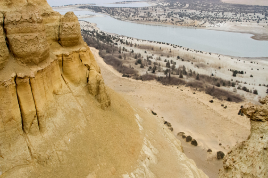 Excursion to the Fayoum Oasis