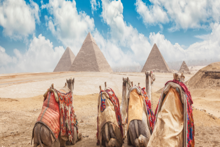Giza Pyramids, Memphis and Saqqara