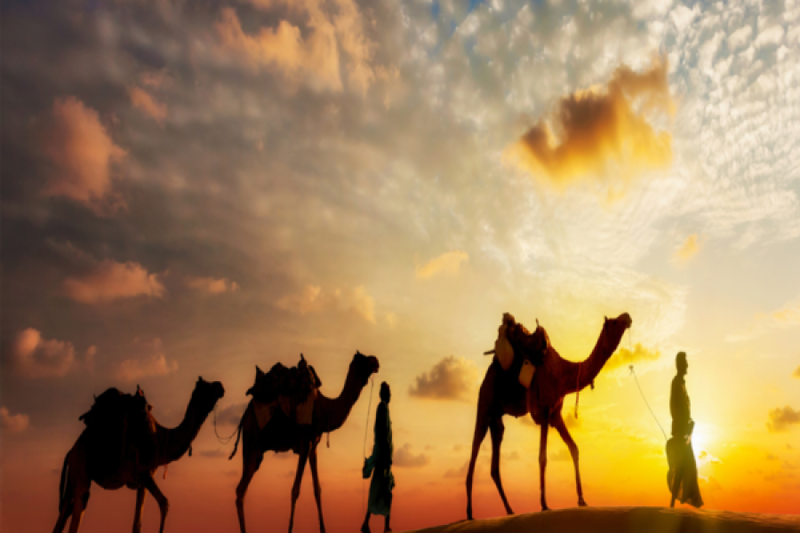 Camel Ride, Bedouin Dinner and Stargazing in Sharm
