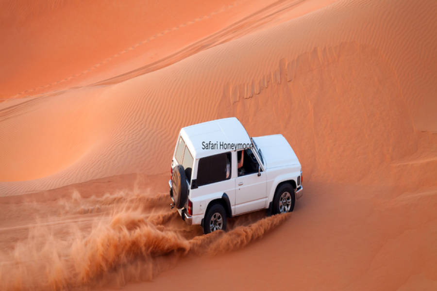 Safari Honeymoon
