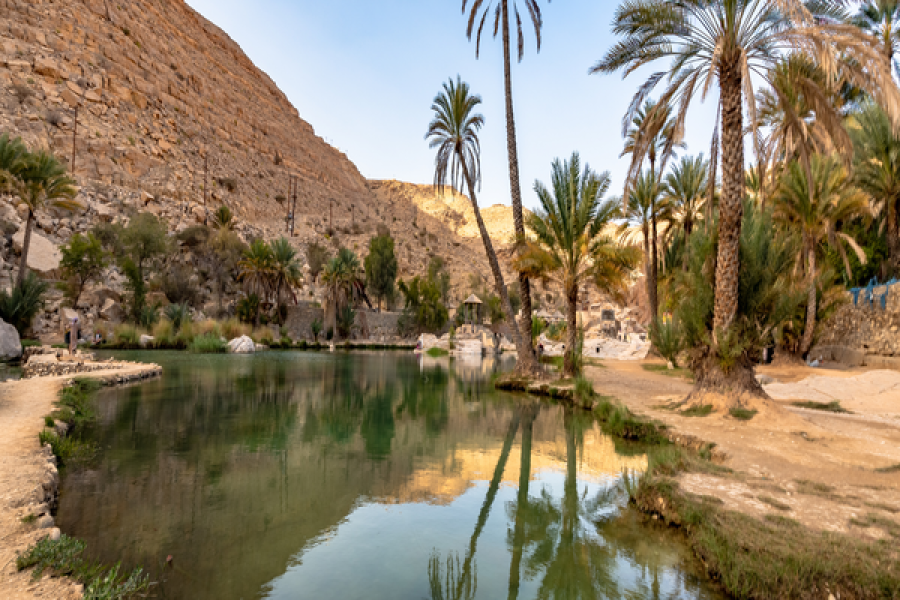 Siwa Oasis Desert Safari Tour