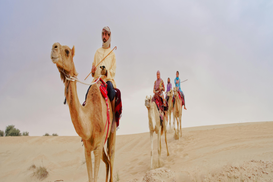 safari trip (white desert )