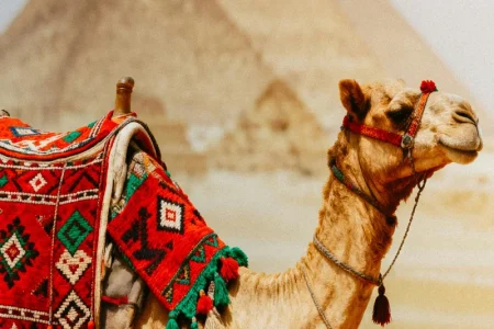 Holy Family Route in Egypt